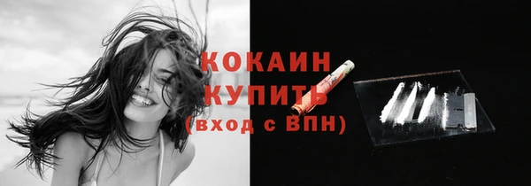 гашик Богданович