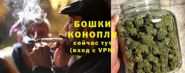 гашик Богданович
