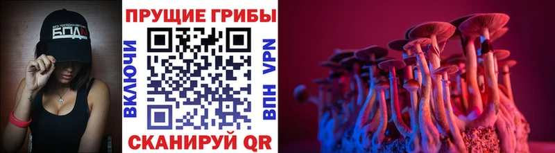 Псилоцибиновые грибы Magic Shrooms  Бугульма 